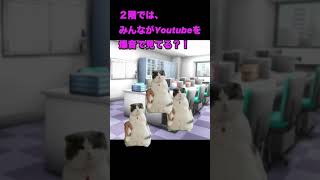 【猫ミーム】世界を変えたい JICAボランティア #猫ミーム #青年海外協力隊