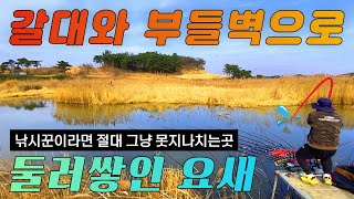 낚시꾼이라면 절대로 그냥 못지나가는 포인트 (갈대와 부들로 둘러쌓인 요새)