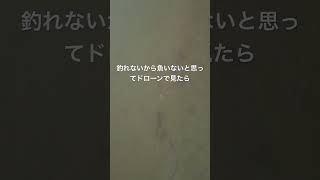 釣れないからドローンで上から見た結果。