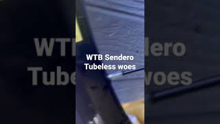 WTB Sendero tubeless woes