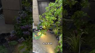 庭院水景打造你学会了吗#fengshui #garden #zengarden #庭院设计