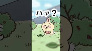 【ちいかわ】うさぎ大すき！『ハァ？』詰め合わせ #ちいかわうさぎ #ちいかわアニメ #ちいかわ最新話