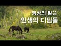 명상의 말씀 인생의 디딤돌 대사 엄주환