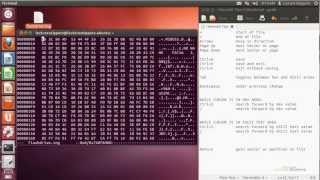 Ubuntu 12.04 Forensics - Hexedit