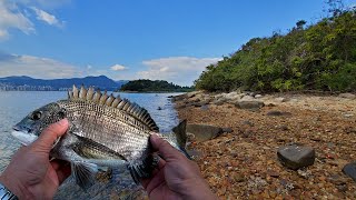 磯釣 | 全游動 - 吐露港的步兵釣場，人工石壆和天然砂石灘，如何選擇釣組？