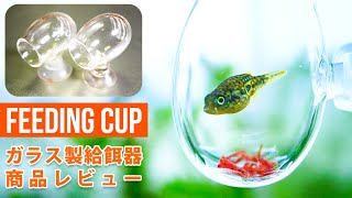 Amazonで見つけた可愛い給餌器！アベニーパファーもりもりで商品レビュー #アクアリウム 【ビバアクア】