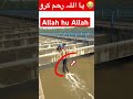 Allah 😭#shortvideo #trendingshorts #muslim #viralmyvideo #trendingshorts #shortsvideo