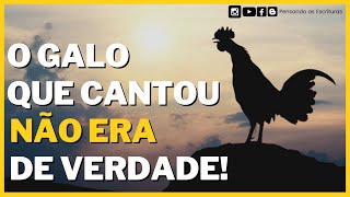 O galo que cantou depois da negação de Pedro não era uma ave