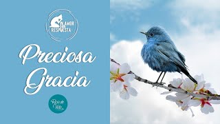 PRECIOSA GRACIA  | Clamor Con Respuesta | Erika Mena