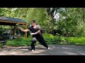 my casual practice 12 some xing yi movements xue dian style