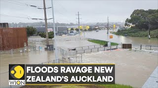 Climate change is real - New Zealand Prime Minister | WION Climate Tracker | Latest English News |