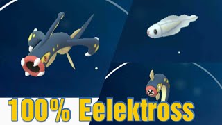 [100IVSeries] Evolving 100% Eelektross from Tynamo