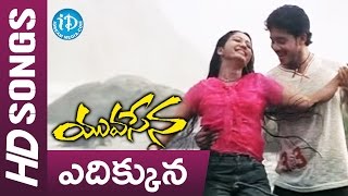 Ye Dikkuna Nuvvunna Video Song - Yuvasena Movie || Sharwanand || Bharath || Jassie Gift || Jayaraj
