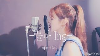 메이다니(MAYDONI) - 몰라Ing _Live