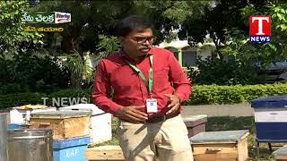 CHENU CHELAKA| NIRD DIRECTOR PAIDI RAVINDRA KUMAR ABOUT BEE KEEPING MANAGEMENT|| TNEWS