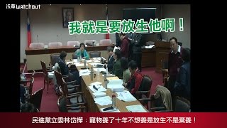 【沃草烏龍球】民進黨立委林岱樺：寵物養了十年不養是放生不是棄養！