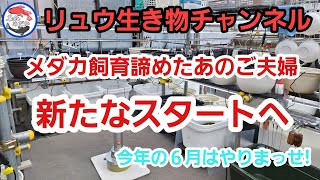 メダカ飼育やめて半年どうなった？/えっ！あそこでイベントするの？！