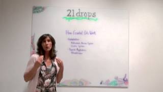 21 drops® Training Video: 5 - How Essential Oils Work