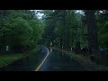 [4K. Rain Drive] Experience healing while running through a deep forest path in the rain. rain sound