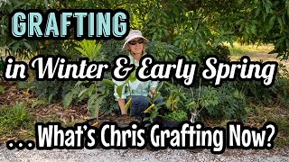 Grafting in Winter \u0026 Early Spring | What's Chris Grafting Now?