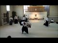 asnj nidan testing 2013