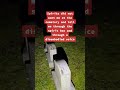 Ghostly Encounter: Cemetery Spirit Warns Ghost Hunter To Leave!