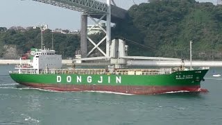 DONGJIN GENIUS - Dongjin Agency general cargo ship - 2016