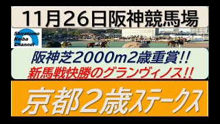 【競馬予想】GⅢ京都２歳ステークス～新馬戦で躍進のグランヴィノス！？～2022年11月26日 阪神競馬場