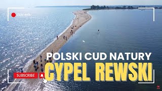 CYPEL REWSKI \u0026 REWA Z DRONA | MEWIA REWA | RYW MEW | POLSKI CUD NATURY | Morze Bałtyckie | Lato 2024