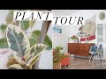 House Plant Tour | Alli Cherry