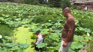 来二花塘里面捞点瓢喂鱼，大叔下塘帮我捞，我买十箱啤酒送大叔