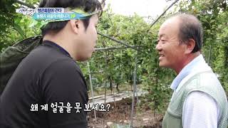 [청년회장이 간다] 능평리 마을의 여름나기 2부 [6시 내고향]20190805