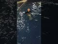 Nathan Swimming