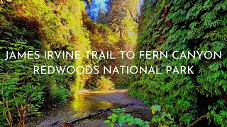 JAMES IRVINE TRAIL TO FERN CANYON REDWOODS NATIONAL PARK