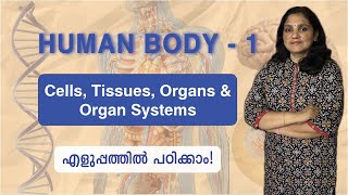 Human Body - 1 | Levels of Organization - Cells, Tissues, Organs \u0026 Organ Systems | Malayalam