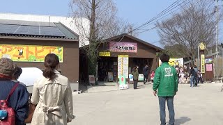 香川「しろとり動物園」