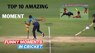TOP 10 Amazing and Funny Moment in Cricket | top 10 best moment #top10 #cricket