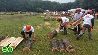 Döntő az esőben - A Vértesi Erdő Zrt. nyerte meg a STIHL Országos Fakitermelő Bajnokságot