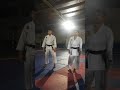 Karate kata Tayō Sei