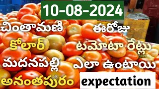 10 ఆగస్టు 2024🍅🍅🍅 Today tomato price#madanapalli , Kolar, Anantapur, chintamani#expectation🍅