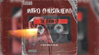 SHAIKH TAHIL || INTRO-MUSHKILEIN (OFFICIAL LYRICAL VIDEO) || THE SHAIKH-EP || (Prod by.Lxst Ghxul)