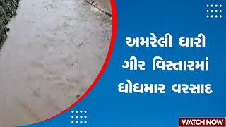 Amreli Heavy Rain : અમરેલી ધારી ગીર વિસ્તારમાં ધોધમાર વરસાદ | Gujarat Rain | Gujarat Monsoon