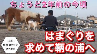 【どくだん切り抜き】はまぐり求めて犬と馬と散歩　#独身男性tv #犬 #馬