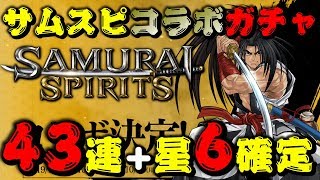 【パズドラ/サムライスピリッツコラボガチャ】43連+星6確定ガチャ！監督の采配がはまる短期決戦！徳川が狂いタムタムが舞う死闘…制したのは…！