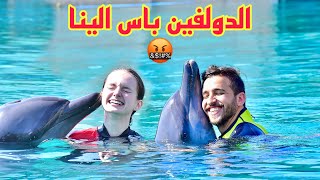 سبحنا مع الدلافين في المدينة المائيه دبي | الدولفين باس الينا😱