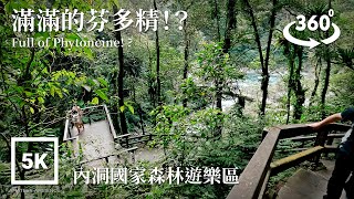 5K 360 VR Taiwan Walk午後來杯芬多精嗎?How about a cup of Phytoncine?!Asmr Amateur Ambience Built Environment