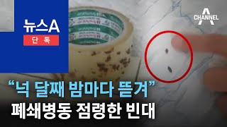 [단독]“넉 달째 밤마다 뜯겨”…폐쇄병동 점령한 빈대 | 뉴스A