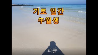 십간론 47 🥜 기토 일간 오(午)월생 - 피클의 행복한 명리