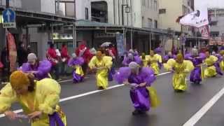 よさこい東海道2013　本祭【本町審査会場】小俣組