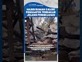 nasib pilu calon pengantin di sulsel rumah terbakar jelang nikah uang panai hingga tenda hangus